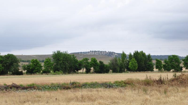 Foto 3660d809-d53d-4ff4-8b51-07ece81255e5. Terrain industriel dans Renedo de Esgueva