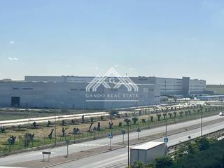 Lloguer Oficina a Terracota 1. Oficina en alquiler