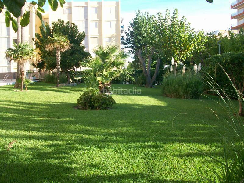 Foto 5ab554ce-40de-402c-89c9-6e43f3dc0b59. Apartament a passeig marítim de neptú 85 a Playa de Gandía Gandia