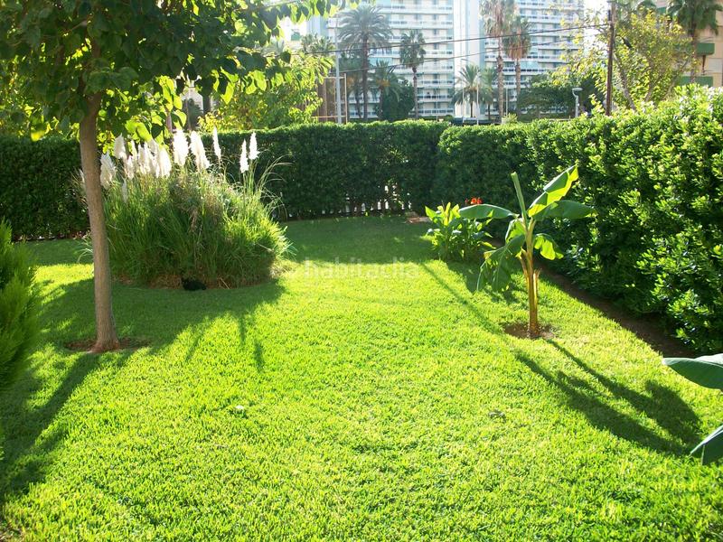 Foto c09d9c26-e08c-48f8-abd8-48b214be8f11. Apartament a passeig marítim de neptú 85 a Playa de Gandía Gandia