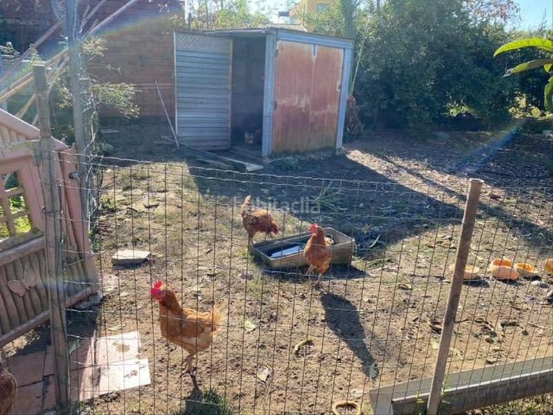 Foto 8a656e9c-bd05-493b-afae-bbce6698c0ec. Terreno residenziale in Mas Florit-Ca la Guidó Blanes