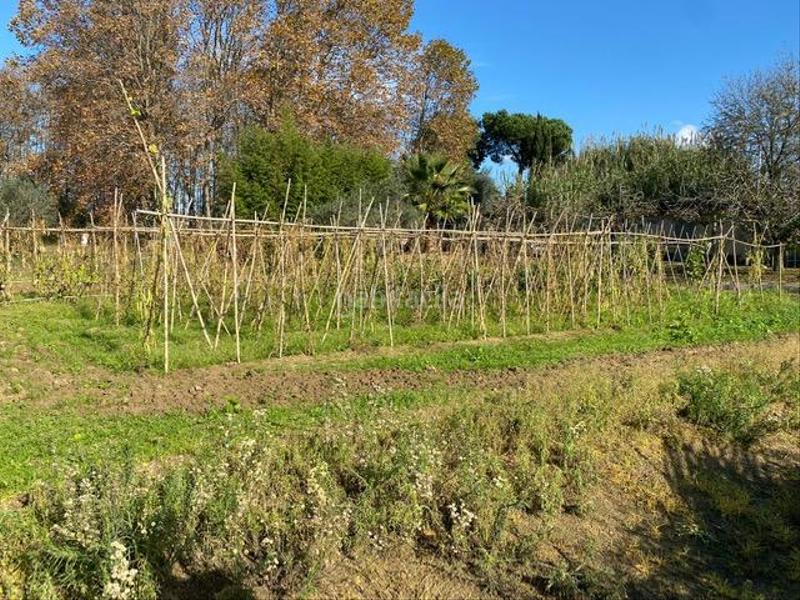 Foto aaff46bb-aaf3-4428-ac9c-d61ae820c27e. Terreno residenziale in Mas Florit-Ca la Guidó Blanes