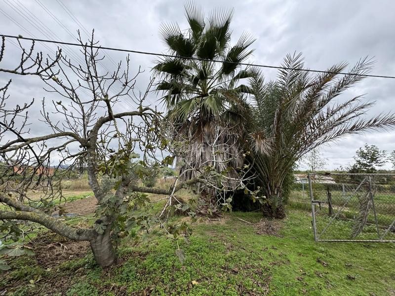 Foto f64b3c57-6b5a-447e-b902-c7b4598879d9. Terreno residenziale in Mas Florit-Ca la Guidó Blanes