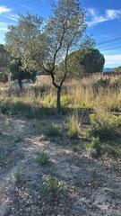Terreny residencial  Sensitiva