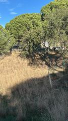 Residential Plot  La clariana