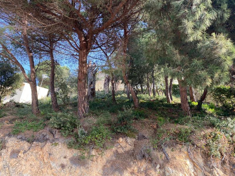 Foto 16dd37d4-3343-403d-b42a-02575b2eae0f. Terreny residencial a Santa Cristina-Sant Francesc Blanes