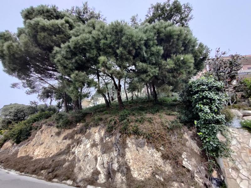 Foto 5dccb2c3-7730-4e7d-8ee7-630bc17f8950. Terreny residencial a Santa Cristina-Sant Francesc Blanes