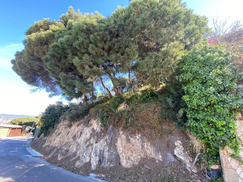 Foto f30b76c4-05f0-4cbb-aa98-ea7268a5286a. Terreny residencial a Santa Cristina-Sant Francesc Blanes