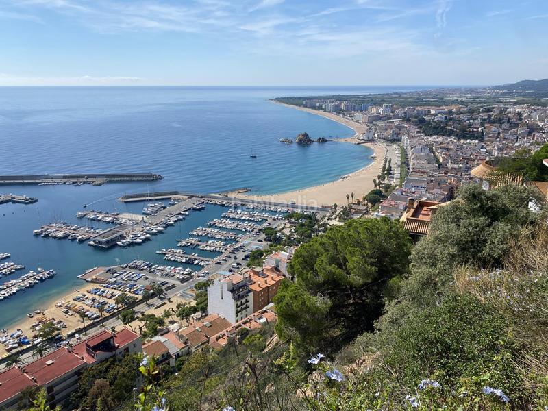 Foto 11b07a2f-dff6-400d-8de9-a85b1d04aea0. Pis a Els Pins Blanes