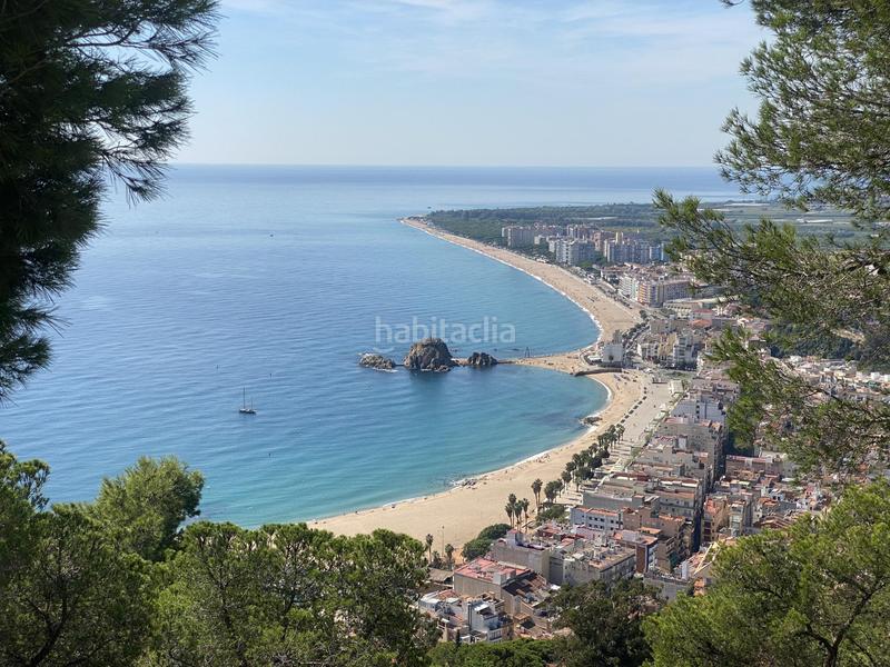 Foto 8696bedd-747a-4113-be7c-1fd008585ed8. Pis a Els Pins Blanes