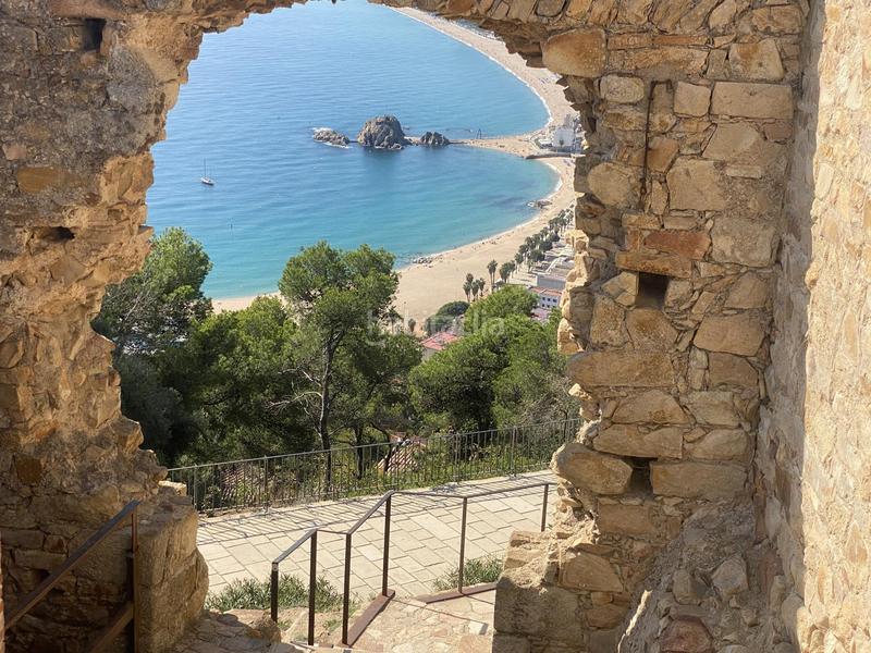 Foto d37baef4-5d63-4c16-ab16-d0cafb27b816. Pis a Els Pins Blanes