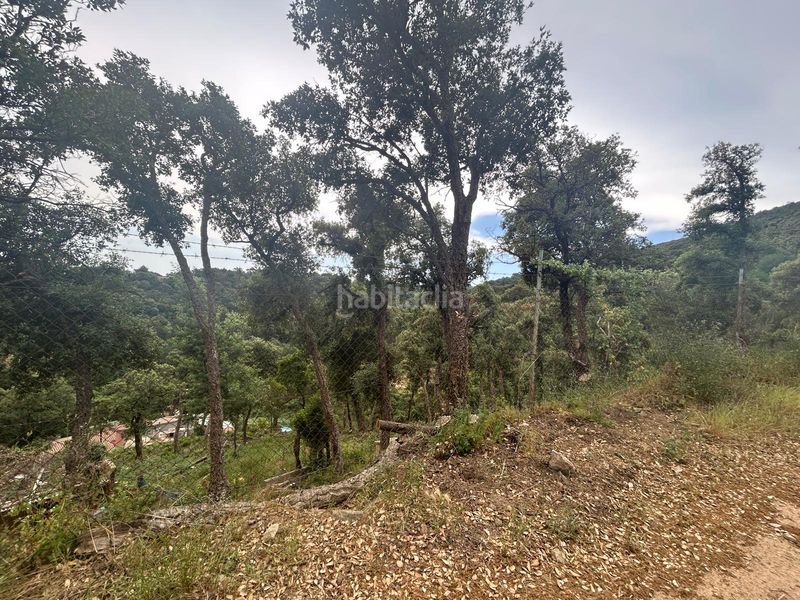 Foto 5fd2e445-959c-4473-94e2-410116279698. Finca rústica a avinguda sant llop 46 a Niàgara Parc -Àgora Parc Tordera