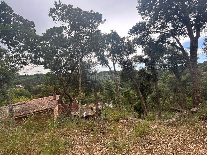 Foto 7455db80-461d-48b2-98b0-8967cf8c4021. Finca rústica a avinguda sant llop 46 a Niàgara Parc -Àgora Parc Tordera