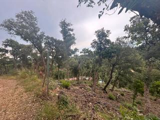 Finca rstica a Avinguda sant llop 46
