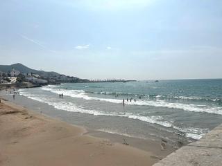 Pis  Carrer de santiago rusiol