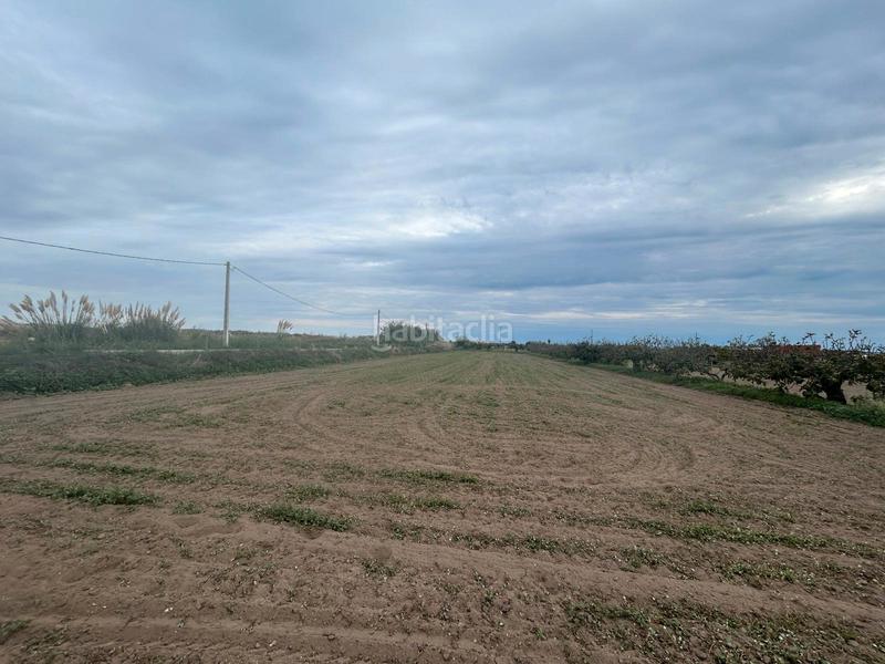 Foto 5a31901d-9ba2-4b49-9d6d-e5fa3c2ef37d. Landgut in Vilamarina Viladecans