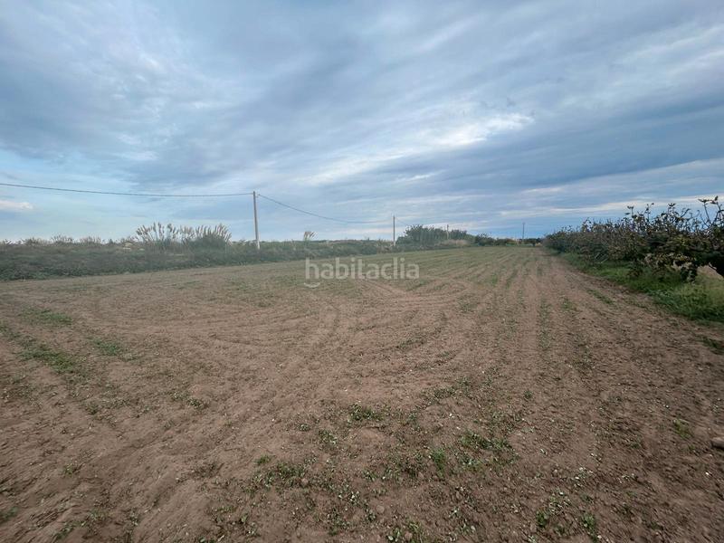 Foto 701419bc-c43f-42f3-8068-2bf13fe5b3ee. Landgut in Vilamarina Viladecans