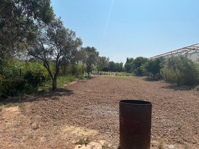 Foto 3685e938-f78e-49ce-a889-bad2b0787049. Finca rústica en Vilamarina Viladecans