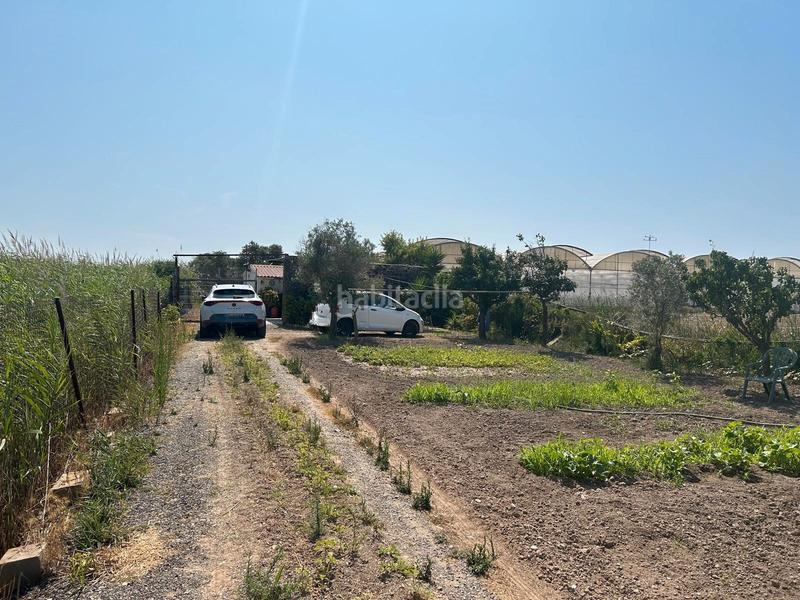 Foto 76d9a20b-9f1a-4eb5-8bd1-da7104233a4e. Finca rústica en Vilamarina Viladecans