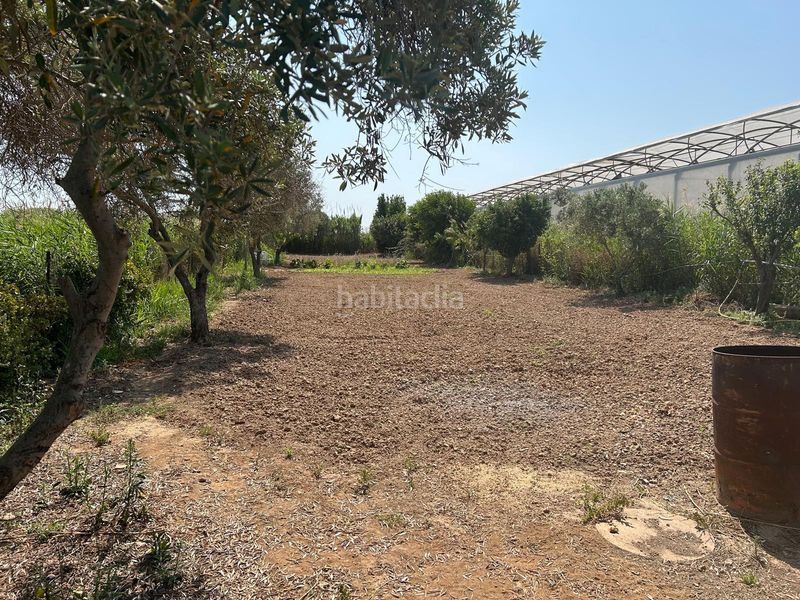 Foto da3d6fac-d578-4abf-abc5-efc048292d6d. Finca rústica en n/a en Vilamarina Viladecans