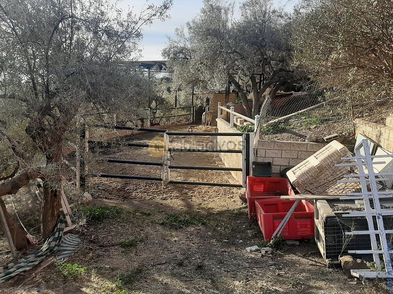 Foto 916be797-ac55-43ea-9134-df5c59c00e84. Terreno residenziale in Torrox pueblo Torrox