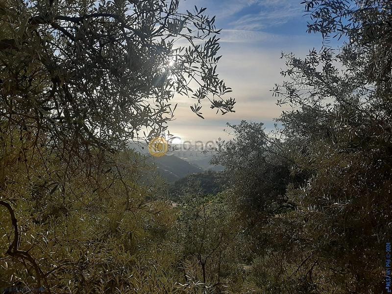 Foto dfc30b4b-7be6-4fe5-9740-afa1e52c5f64. Terreno residenziale in Torrox pueblo Torrox