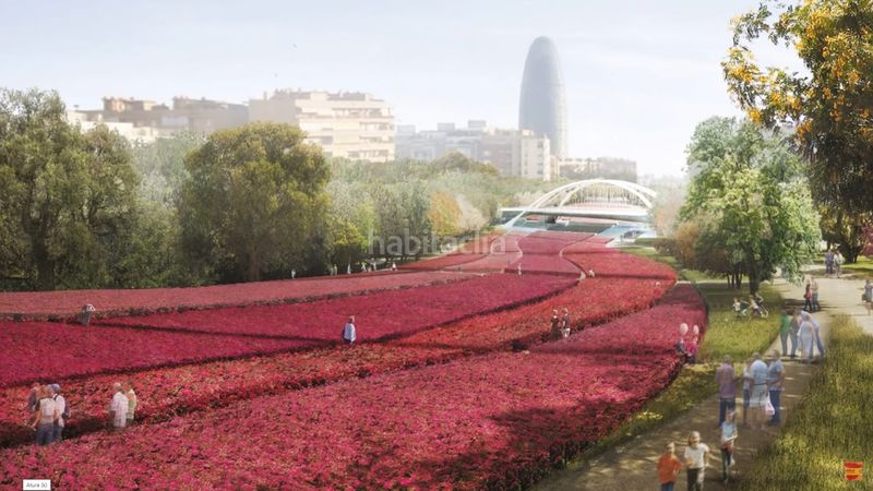 Foto c874db2e-002a-426c-bd06-a769bb4ab14c. Pis a Navas Barcelona