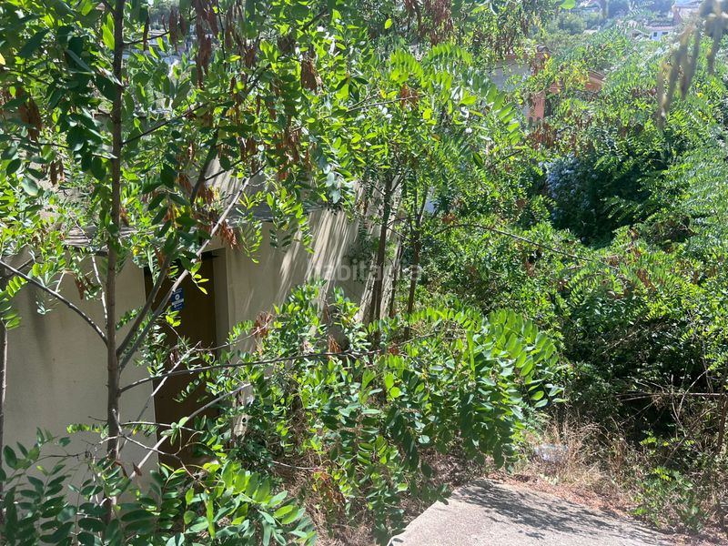 Foto a6391e15-eca7-46d3-9bd2-4fdf2e7ea8d8. Casa a Urbanitzacions Argentona