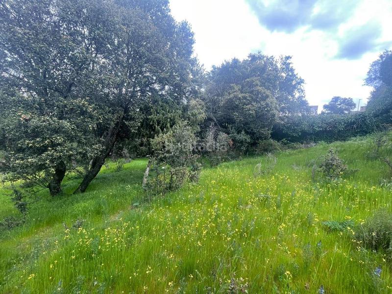 Foto 33ec9005-7537-4e48-aee7-5a421160b91e. Terreno residencial terreno único en Guadarrama