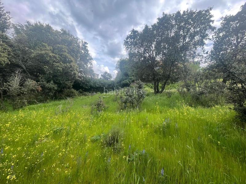 Foto 3fe4f31b-efc8-4fef-9450-be4724dd1d47. Terreno residencial terreno único en Guadarrama