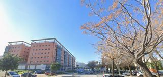 Pis  La montaña. Céntrico piso en camas, ocupado!