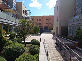 Planta baja  De enrique lister. Piso alquilado en urbanización privada, junto a la alhóndiga