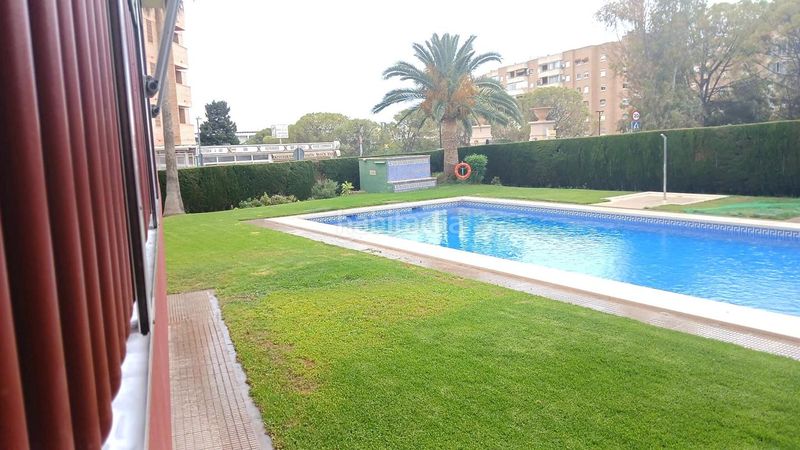 Foto 57870bdc-7a02-4a5c-a8b3-9fbbe2f77337. Planta baixa amb piscina a Juzgados - Plaza de Toros Benidorm