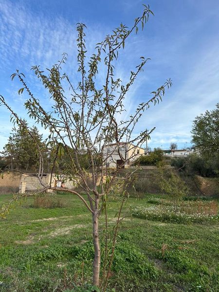 Foto b21c10bd-a64a-4f65-a2bd-c50d326533a8. Casa a Cuevas del Campo
