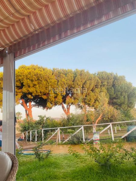 Foto b4413c74-997f-4411-88f7-1045b1697070. Casa amb piscina a Arcos de la Frontera