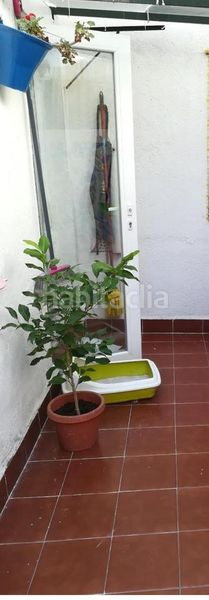 Foto fe713d6d-d6b9-44d1-932a-2f76e0bd5d8f. Pis a Molar (El)