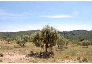 Terreny residencial a Granadella (La). Finca rst. en venta en granadella la.