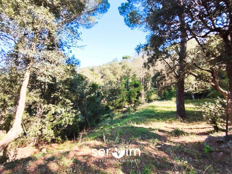 Foto 04e40991-e61b-4992-8cab-b91ae8f2187c. Xalet a vial camino 3 a Quart