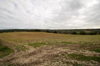 Residential Plot in Ariany. Parcela edificable en ariany