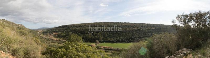 Foto 0bdc52f2-71d6-42af-b6d2-f8613aaff66a. Masía espectacular finca rústica en petra en Manacor centre Manacor