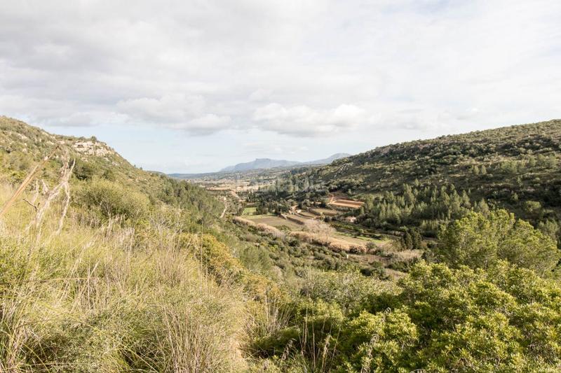 Foto 512beeb0-eaa7-49a8-a583-7c59af25dbf4. Masía espectacular finca rústica en petra en Manacor centre Manacor