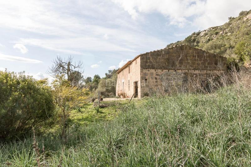 Foto 6bb439fa-39d8-4d70-80e5-a53957918ca7. Masía espectacular finca rústica en petra en Manacor centre Manacor