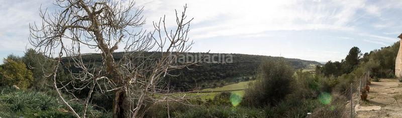 Foto 7adeeae3-8d57-45f4-b81d-8c7cc3c20df2. Masía espectacular finca rústica en petra en Manacor centre Manacor