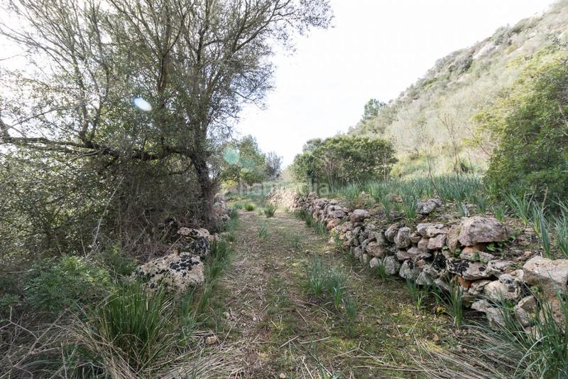 Foto a4a1879a-24e6-4553-b311-b358cd8e9c12. Masía espectacular finca rústica en petra en Manacor centre Manacor