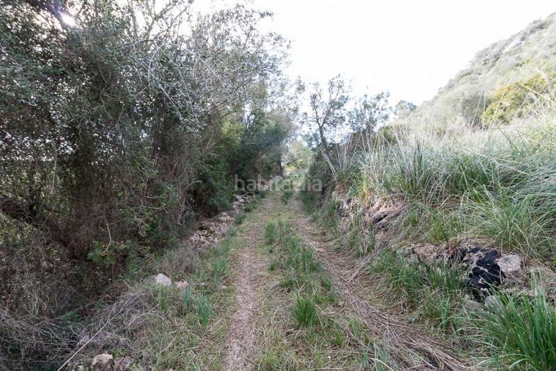 Foto b81adb1d-04ac-4149-a825-0d94eacd9a20. Masía espectacular finca rústica en petra en Manacor centre Manacor