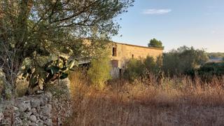 Mas à Lloret de Vista Alegre. Finca edificable en lloret de vistalegre