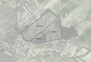 Residential Plot in Petra. Inversión  3 parcelas edificables