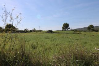 Proprit dans Petra. Finca rstica en es vinyet, petra