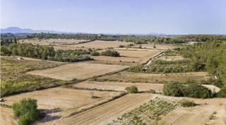 Residential Plot in Sant Joan. Terreno edificable con proyecto aprobado en sant joan, baleares