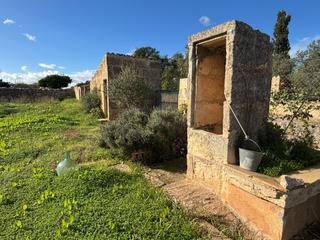 Rural plot in Petra. Finca rústica en petra